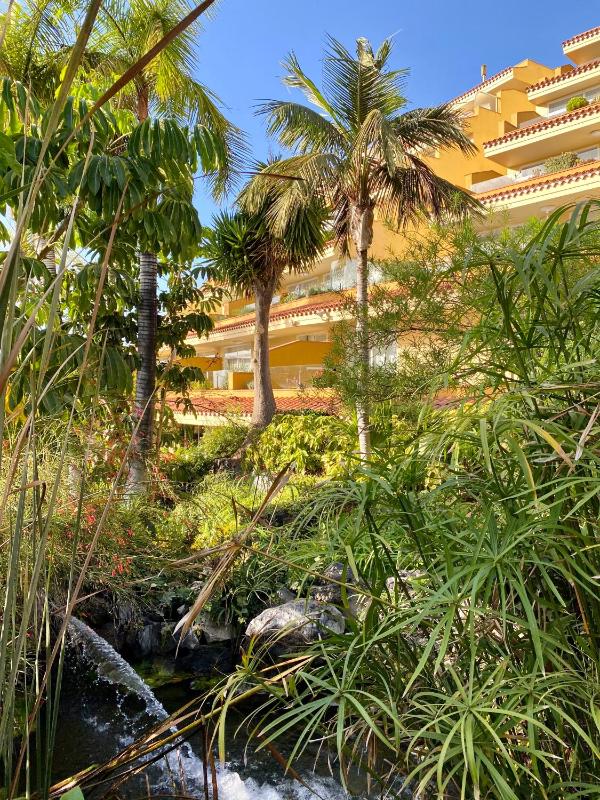 Apartamentos Tigaiga Suites - image 18