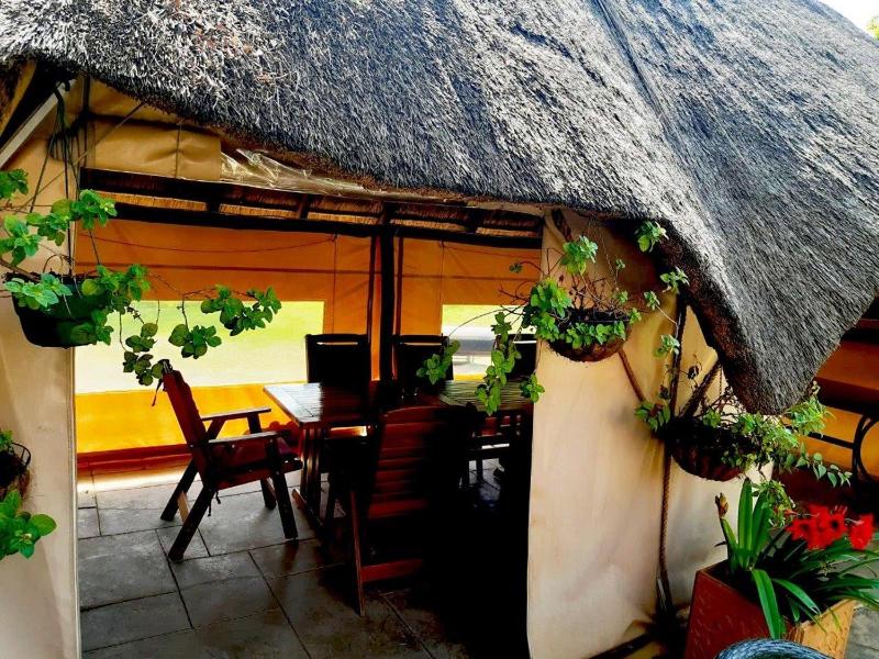 Ipe Tombe Guest Lodge - Midrand - image 10