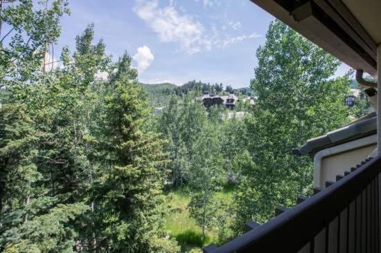 Townsend Place in Beaver Creek VIllage - image 11