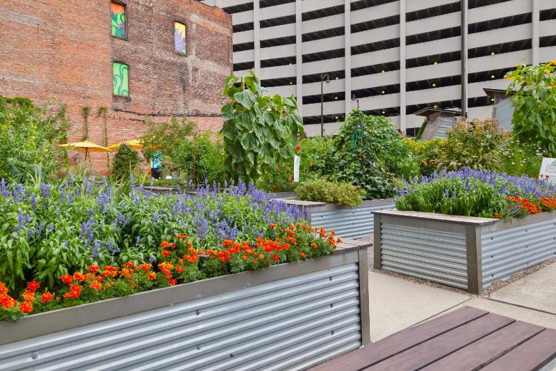 Hotel Indigo Detroit Downtown by IHG - image 38