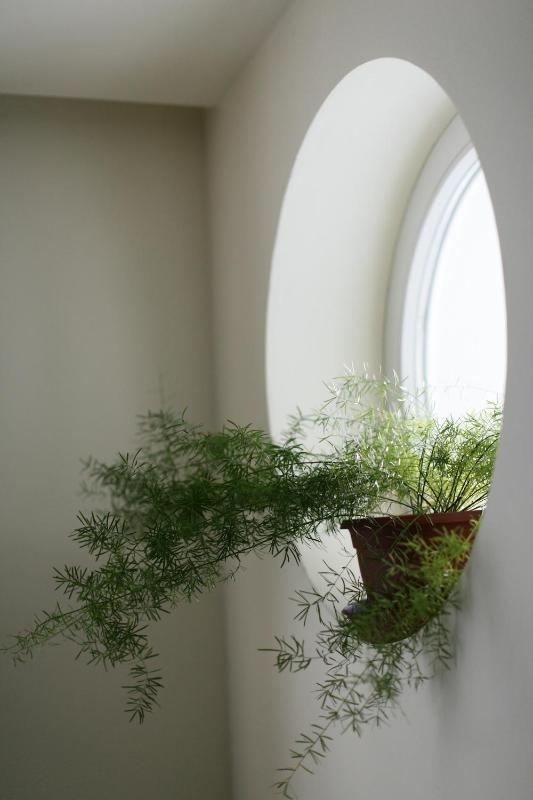 Single Room image 3