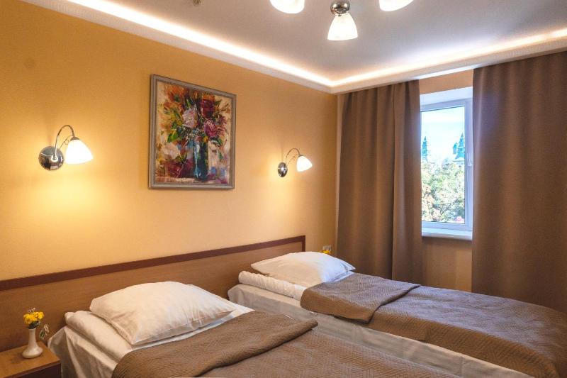 Budget Twin Room image 3