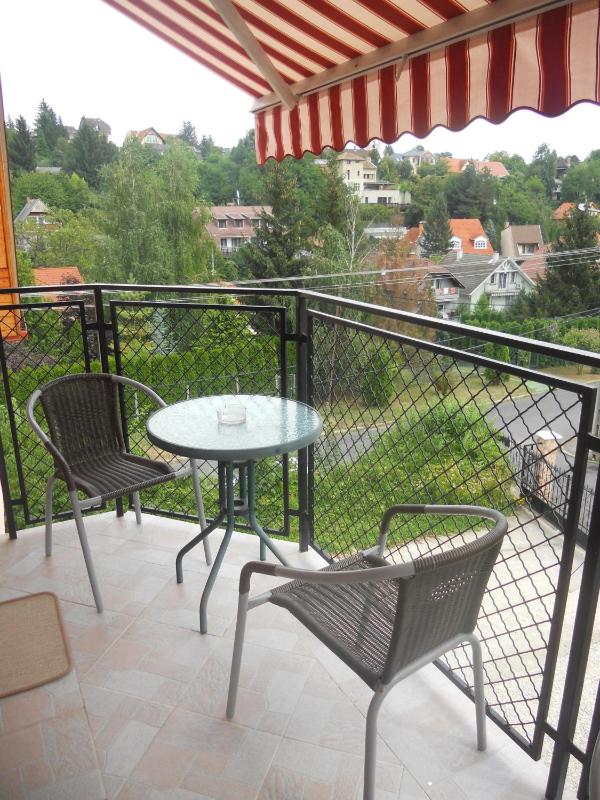 Studio with Balcony image 3