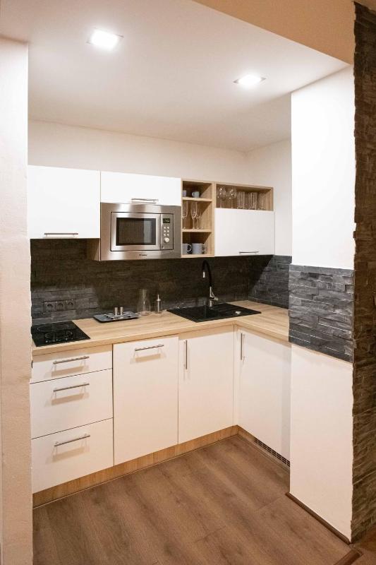 One-Bedroom Apartment image 4