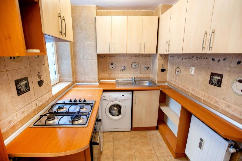 One-Bedroom Apartment image 4