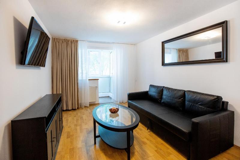 One-Bedroom Apartment image 3