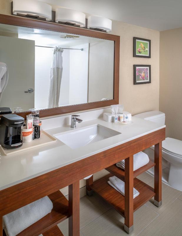 King Suite - Non-Smoking image 3