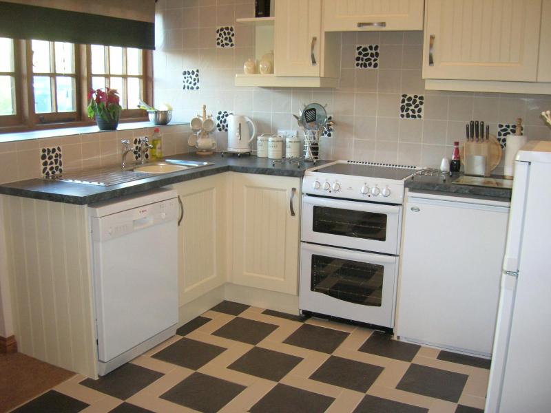One-Bedroom Apartment image 4