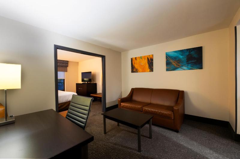 Wingate By Wyndham Atlanta Galleria Center - image 47