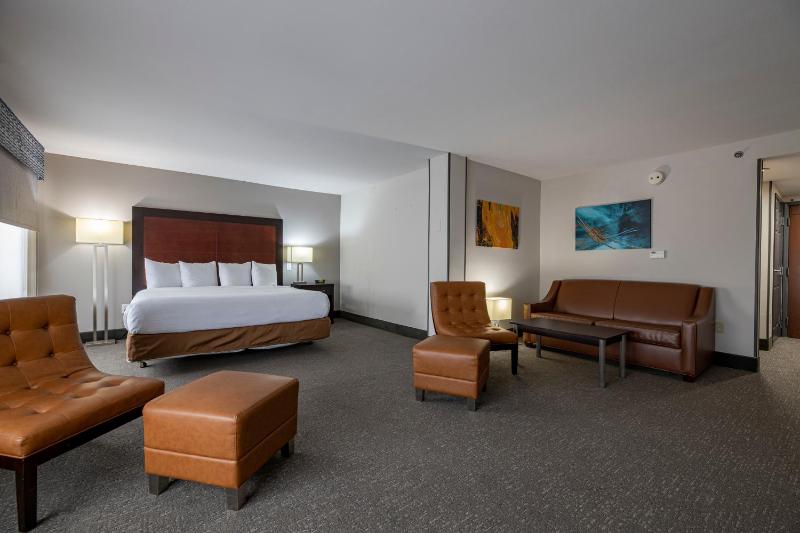 Wingate By Wyndham Atlanta Galleria Center - image 43