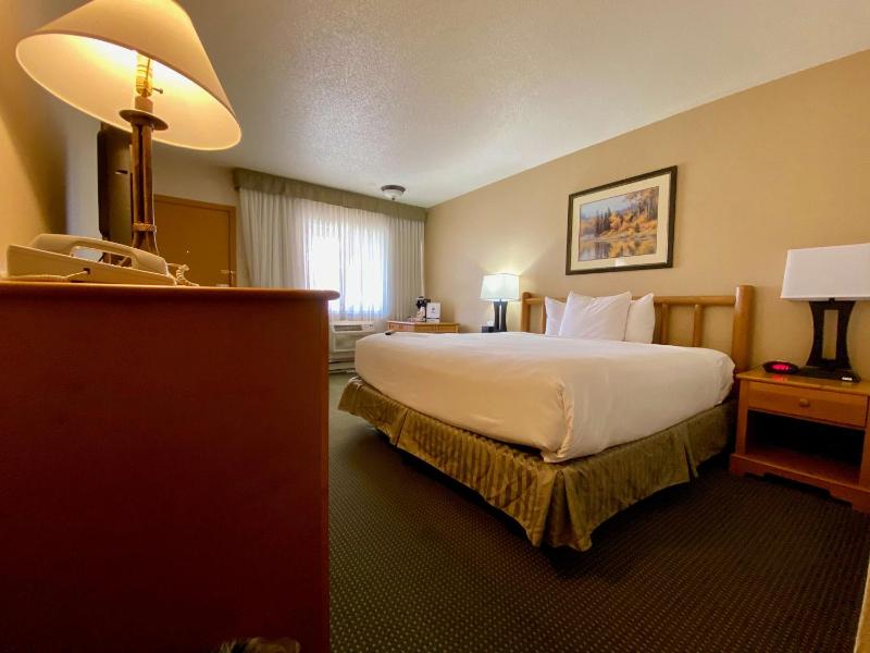 King Room with Roll-In Shower - Mobility Access image 4