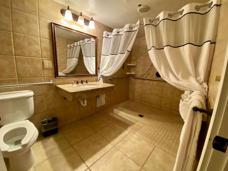 King Room with Roll-In Shower - Mobility Access image 2