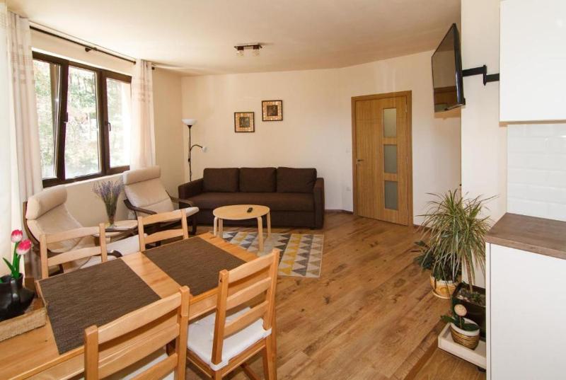 One-Bedroom Apartment image 2