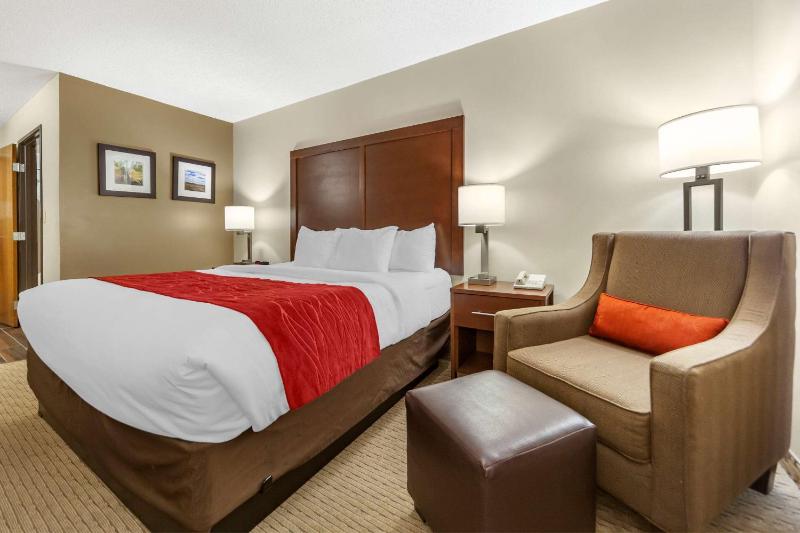 King Room - Accessible/Non-Smoking image 4