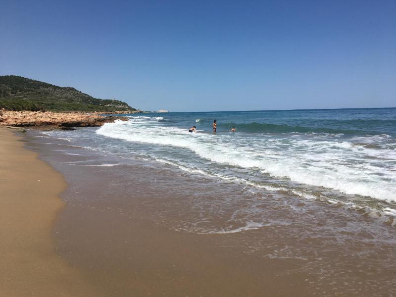 Bertur Mediterraneo - image 46