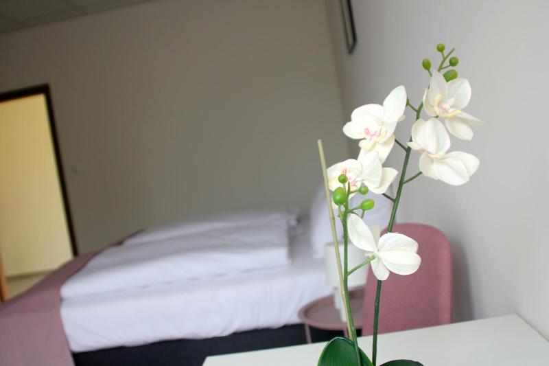 Deluxe Double or Twin Room image 4