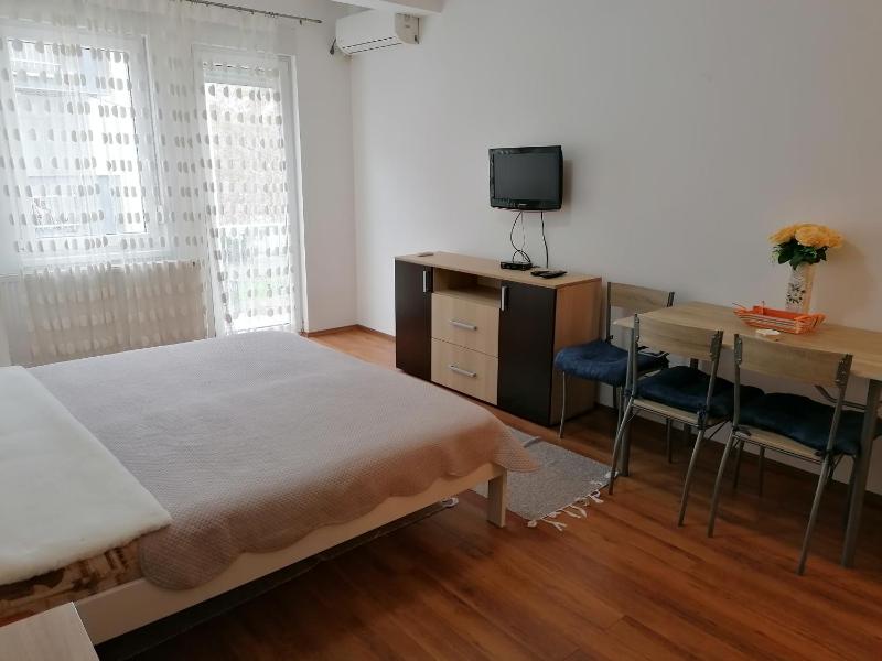 One-Bedroom Apartment image 2