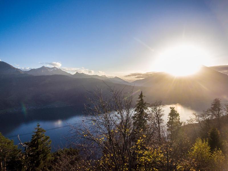 One-Bedroom Apartment image 4