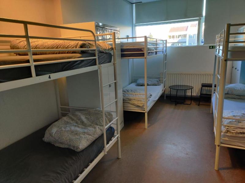 Bed in 6-Bed Female Dormitory Room image 4