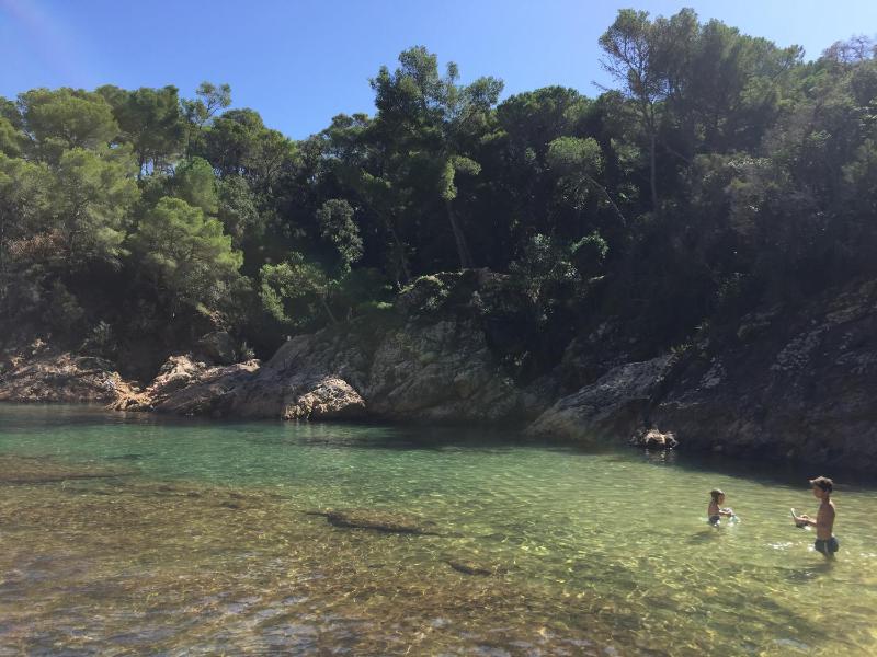 Bertur Gran Reserva Comte Empuries - image 20