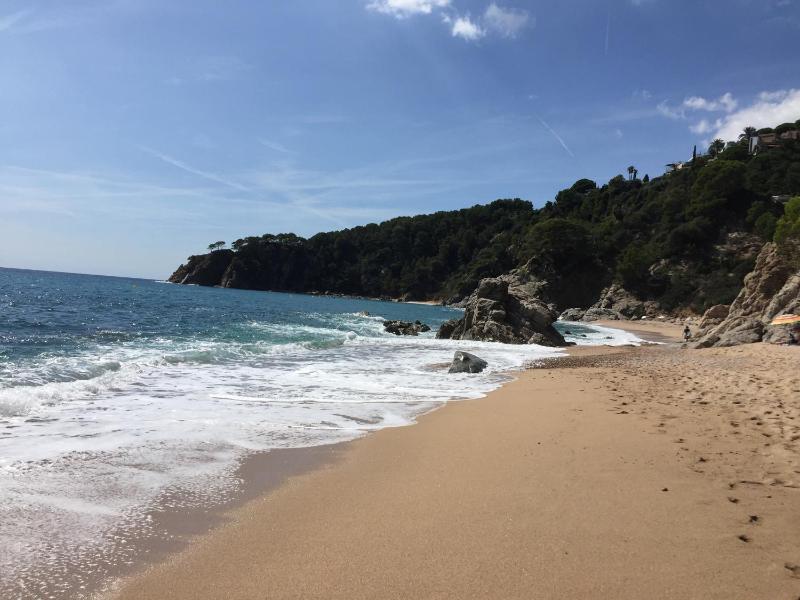 Bertur Gran Reserva Comte Empuries - image 19