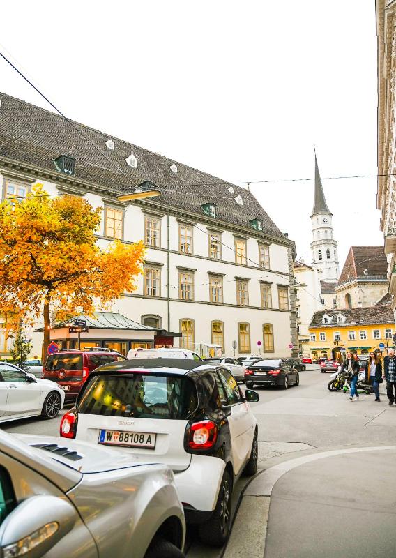 One-Bedroom Apartment image 3