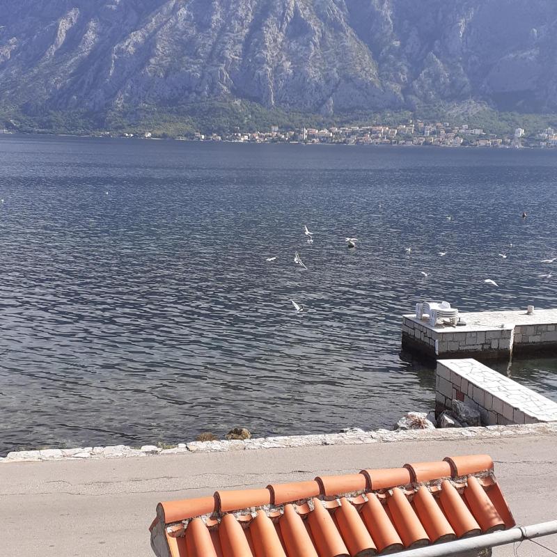 Apartment with Sea View image 4