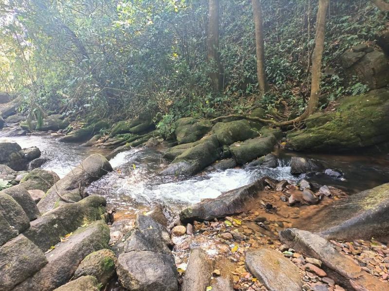 Coorg West End Home Stay - image 44
