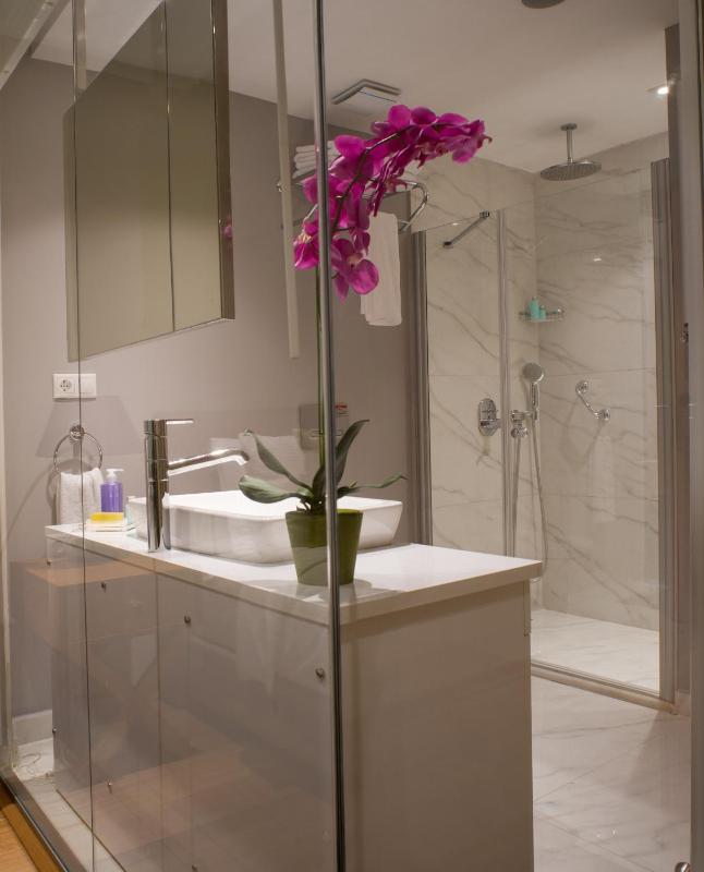 Deluxe Double or Twin Room image 3