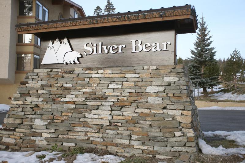 Silver Bear # 36 - image 17