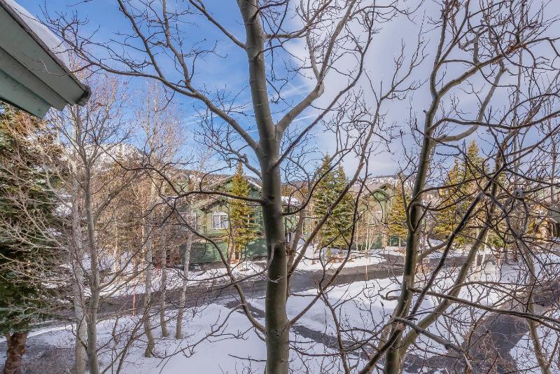 Snowcreek #856 Phase V - image 6