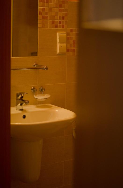 One-Bedroom Apartment image 2