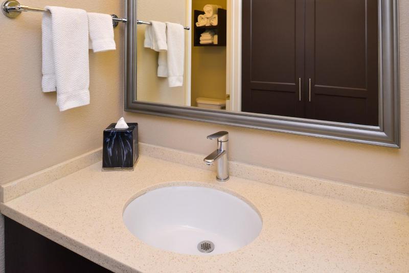 Queen Suite with Roll-In Shower - Disability Access image 3