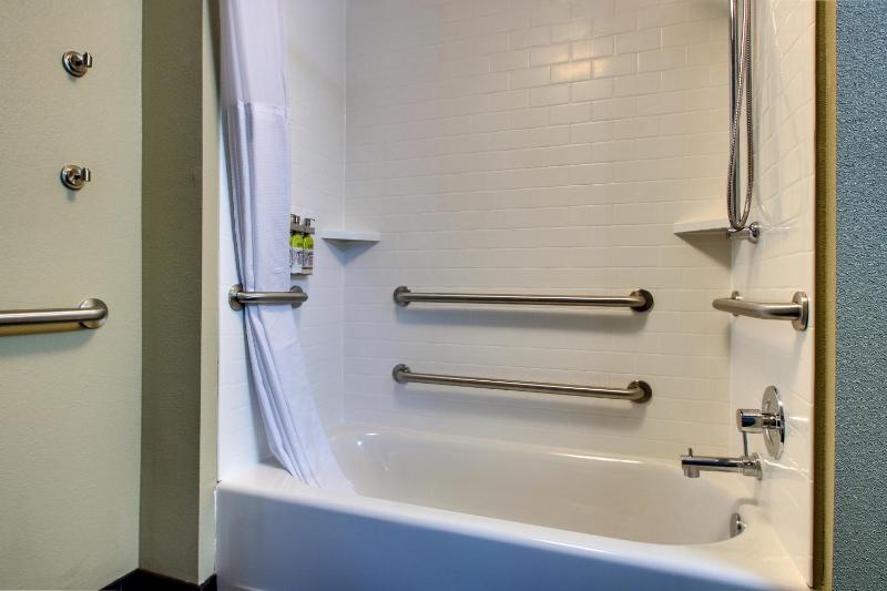 Studio with King Suite - Hearing Accessible and Tran Shower/ Non-Smoking image 3