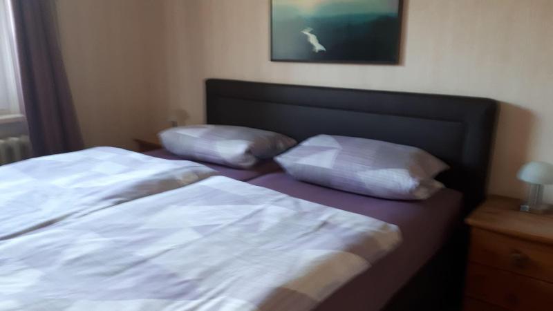 Wernigerode-Ferienwohnung-Schultz - image 16
