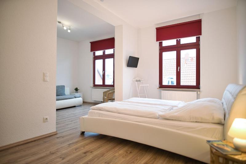 Large One-Bedroom Apartment image 4