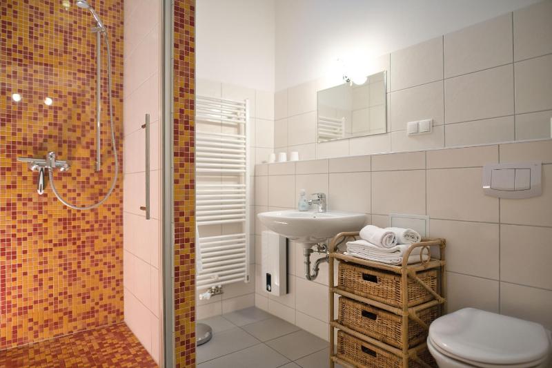 One-Bedroom Apartment image 2