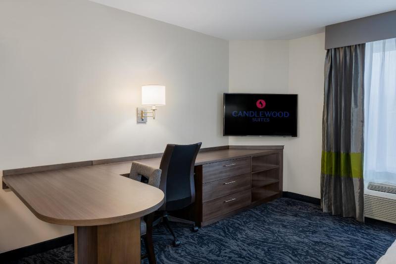 Studio Suite image 4