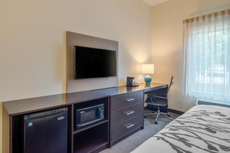 King Room - Accessible/Non-Smoking image 2