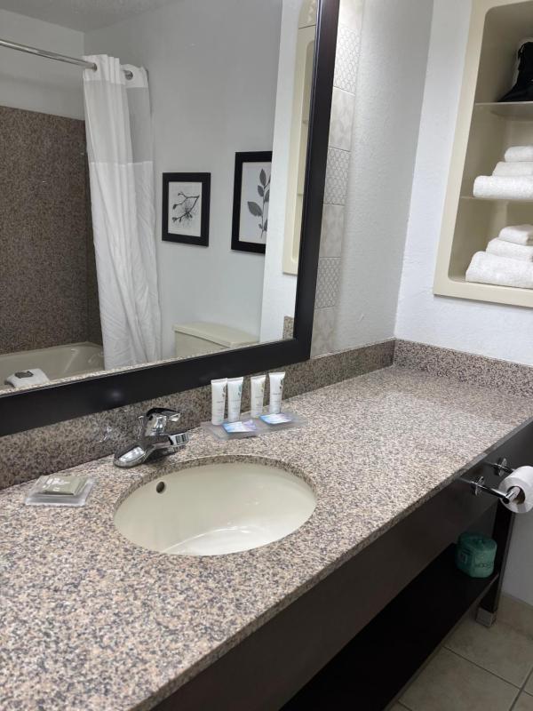 One-Bedroom King Suite - Non-Smoking image 2