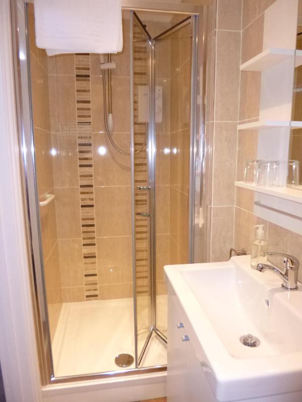 Deluxe Twin Room  - Ground Floor image 4