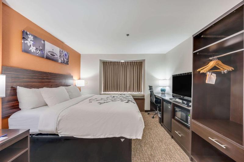 King Suite - Non-Smoking image 1