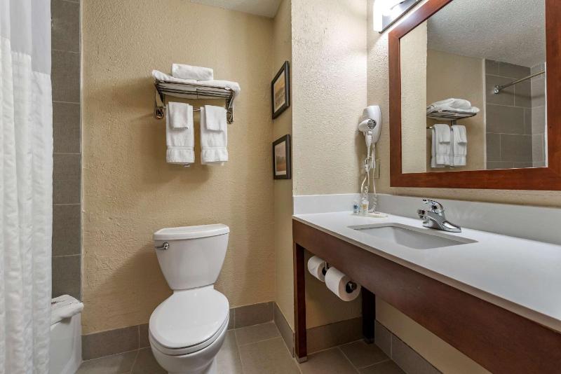 King Room with Wet Bar - Non Smoking image 2
