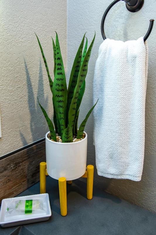Hotel California - A Town & Desert Boutique Hotel - image 7