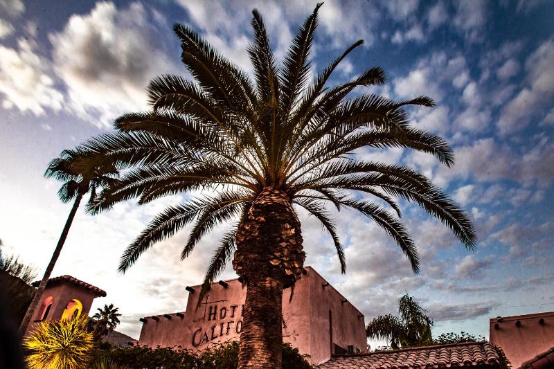 Hotel California - A Town & Desert Boutique Hotel - image 47