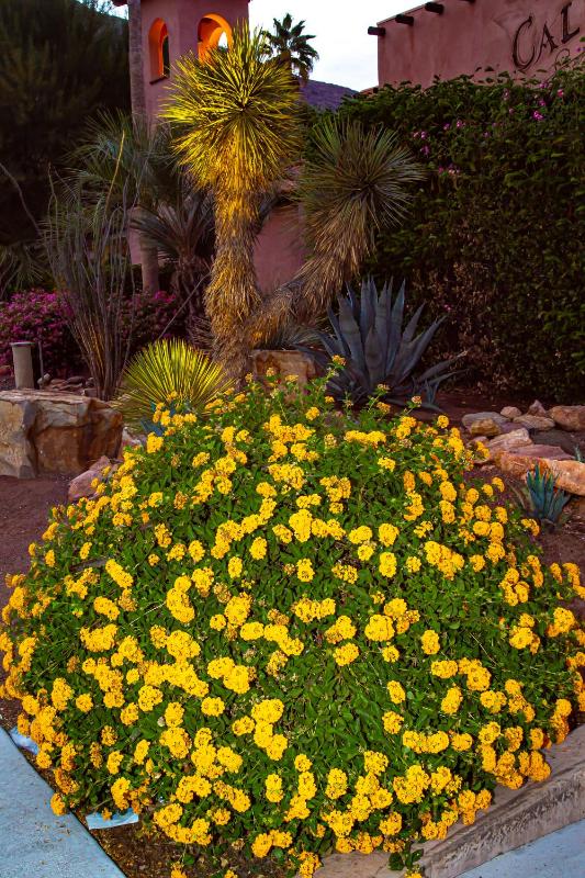 Hotel California - A Town & Desert Boutique Hotel - image 27