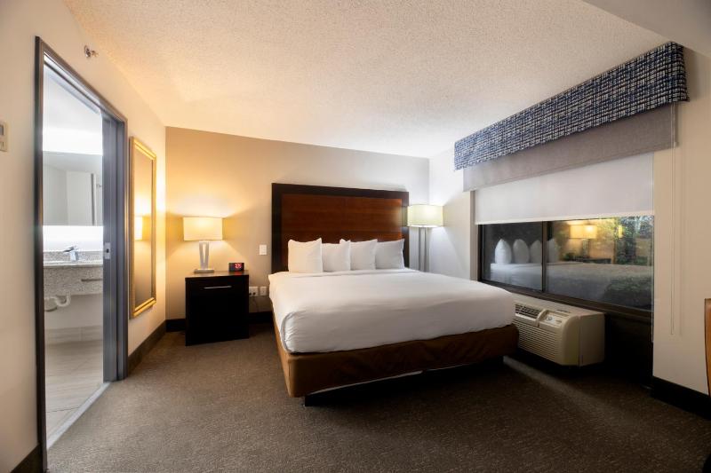 Wingate By Wyndham Atlanta Galleria Center - image 49