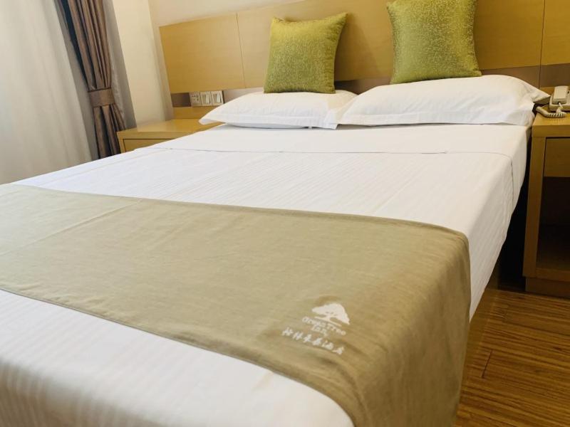 GreenTree Inn Tianjin Hedong District Tianjin Station Front Square Express Hotel - image 13
