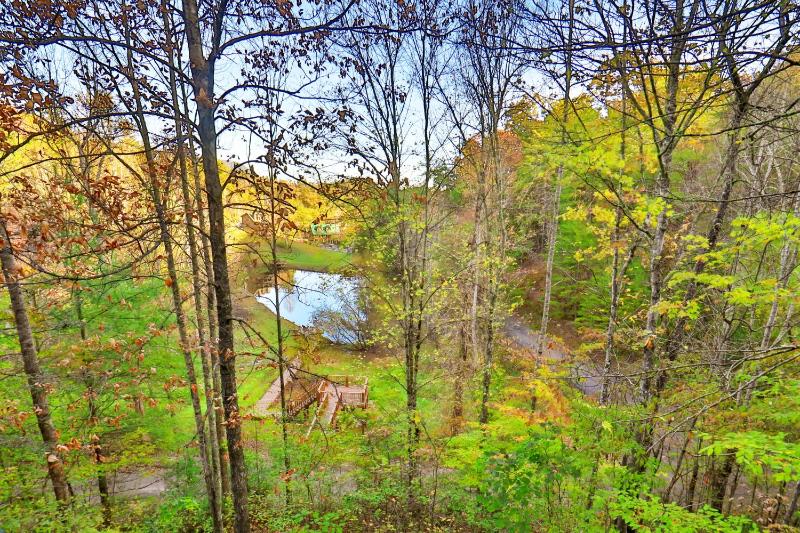 On Golden Pond - image 13