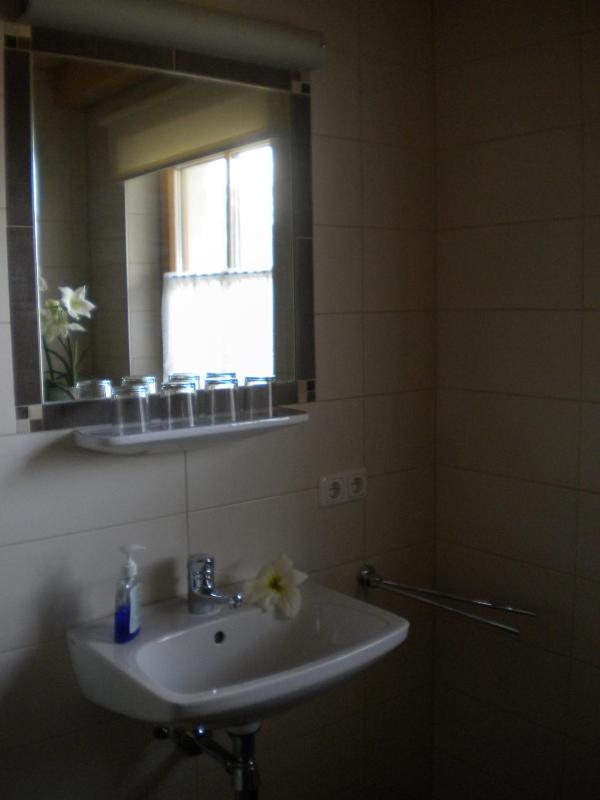Standard Apartment image 4